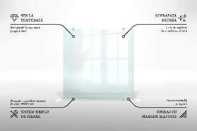 Glas stænkplade transparent