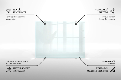 Glas stænkplade transparent