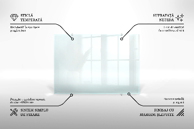Glas stænkplade transparent