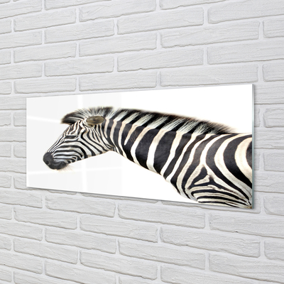 Vægpanel køkken Zebra