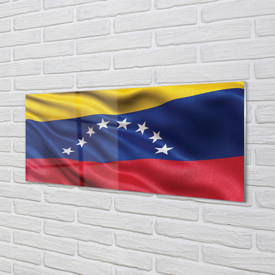 Stænkplade køkken Venezuelas flag