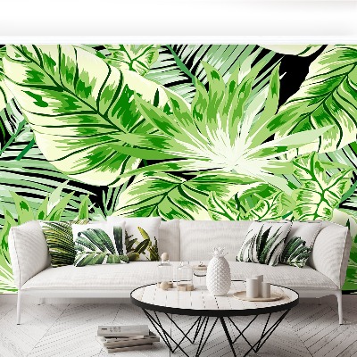 Foto tapet Monstera-palme