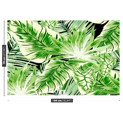 Foto tapet Monstera-palme