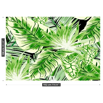 Foto tapet Monstera-palme