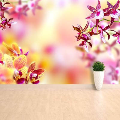 Fotostat Orchid Pink