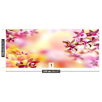 Fotostat Orchid Pink