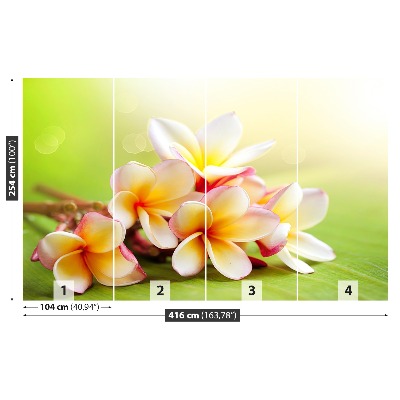 Selvklæbende fototapet Frangipani blomst