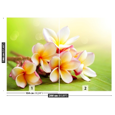 Selvklæbende fototapet Frangipani blomst