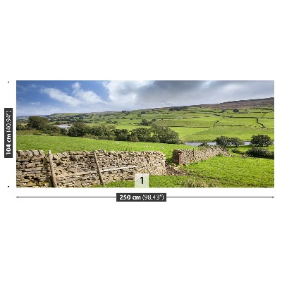 Fotostat Yorkshire-dal