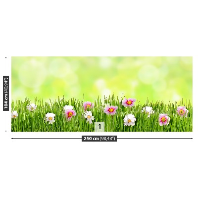 Fototapet Græsblomster