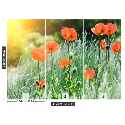 Fototapet Valmueblomster