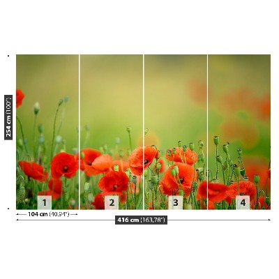 Foto tapet Valmueblomster