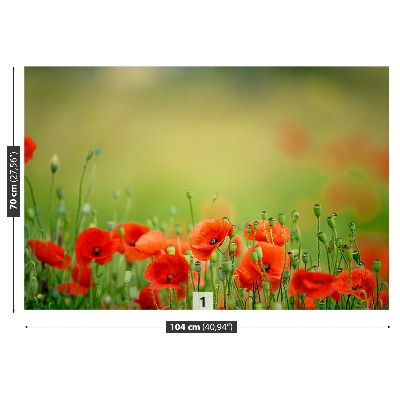 Foto tapet Valmueblomster