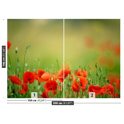 Foto tapet Valmueblomster