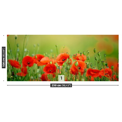 Foto tapet Valmueblomster