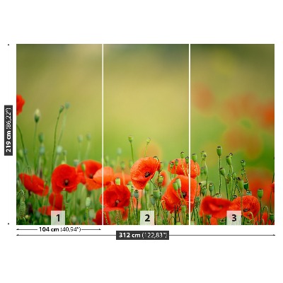 Foto tapet Valmueblomster