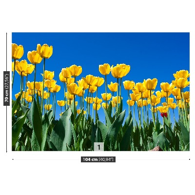 Foto tapet Tulipaner Blomster