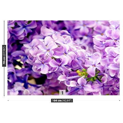 Foto tapet Lilla blomster