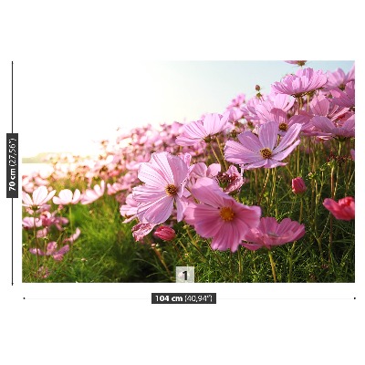 Foto tapet Cosmos-blomst