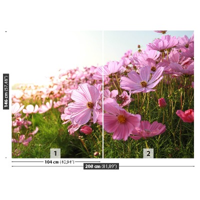 Foto tapet Cosmos-blomst