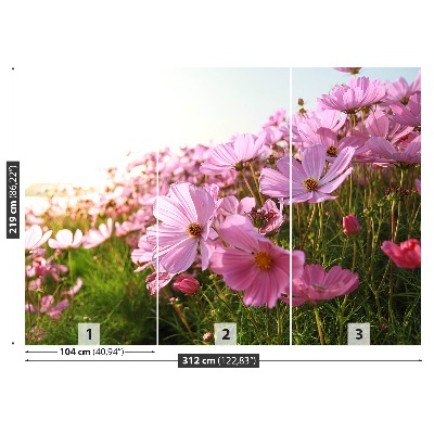 Foto tapet Cosmos-blomst