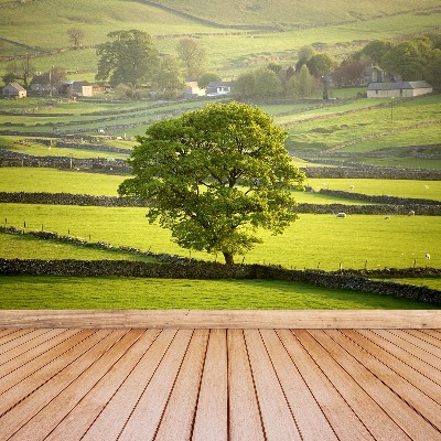 Selvklæbende fototapet England Derbyshire