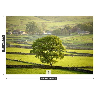 Selvklæbende fototapet England Derbyshire