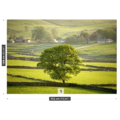 Selvklæbende fototapet England Derbyshire