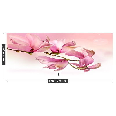 Selvklæbende fototapet Magnolie