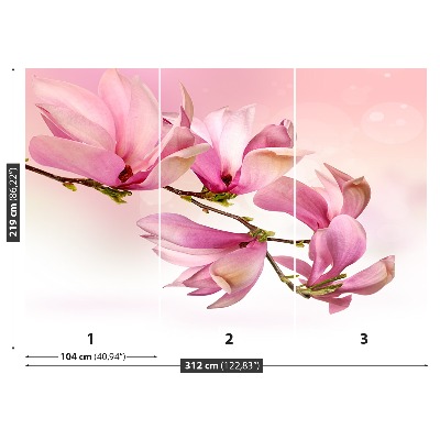 Selvklæbende fototapet Magnolie