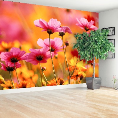 Foto tapet Cosmos Garden