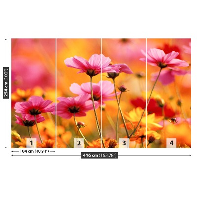 Foto tapet Cosmos Garden