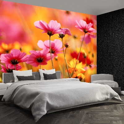 Foto tapet Cosmos Garden