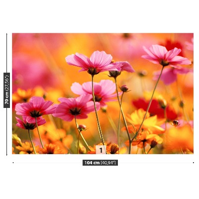 Foto tapet Cosmos Garden