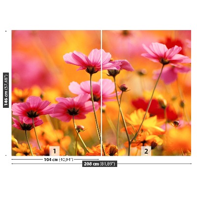 Foto tapet Cosmos Garden