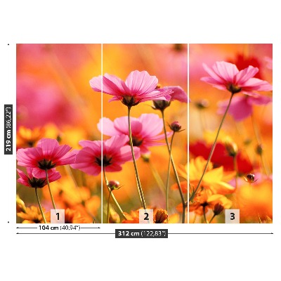 Foto tapet Cosmos Garden