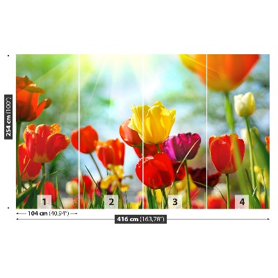 Fotostat Tulipanblomster