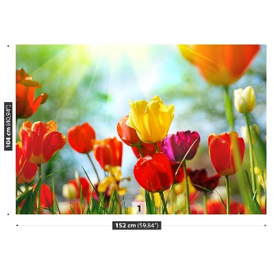 Fotostat Tulipanblomster