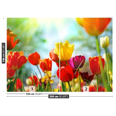 Fotostat Tulipanblomster