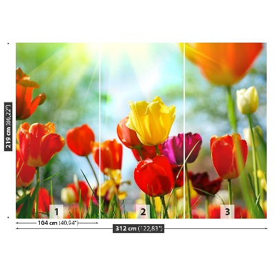 Fotostat Tulipanblomster