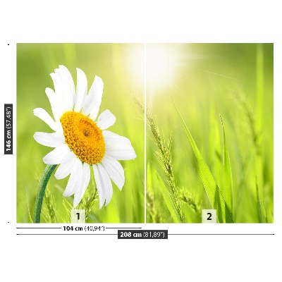 Fototapet Marguerit