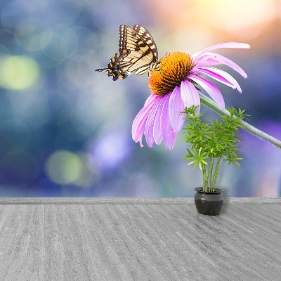 Fototapet Echinacea Sommerfugl