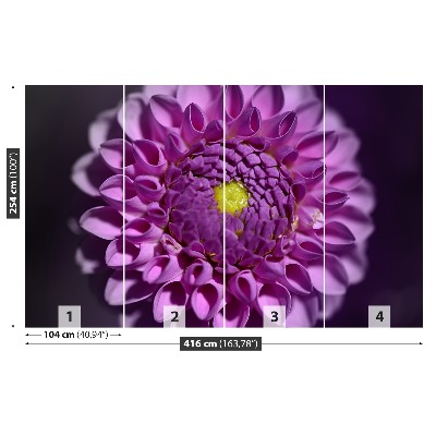 Fototapet Lyserød dahlia