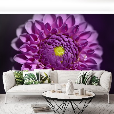 Fototapet Lyserød dahlia