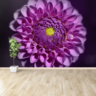 Fototapet Lyserød dahlia