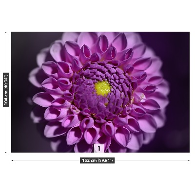 Fototapet Lyserød dahlia