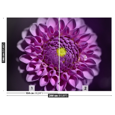 Fototapet Lyserød dahlia