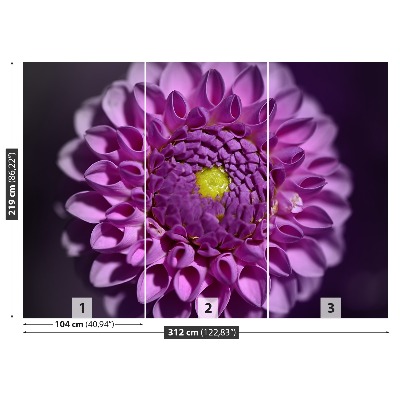 Fototapet Lyserød dahlia