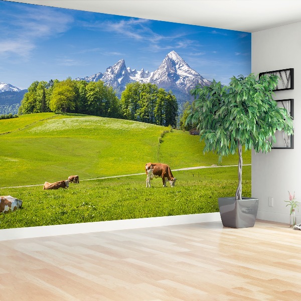 Fototapet Cow Alps