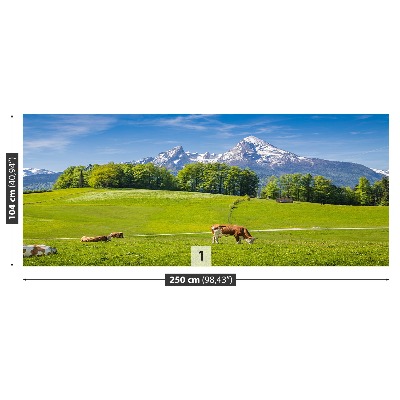 Fototapet Cow Alps